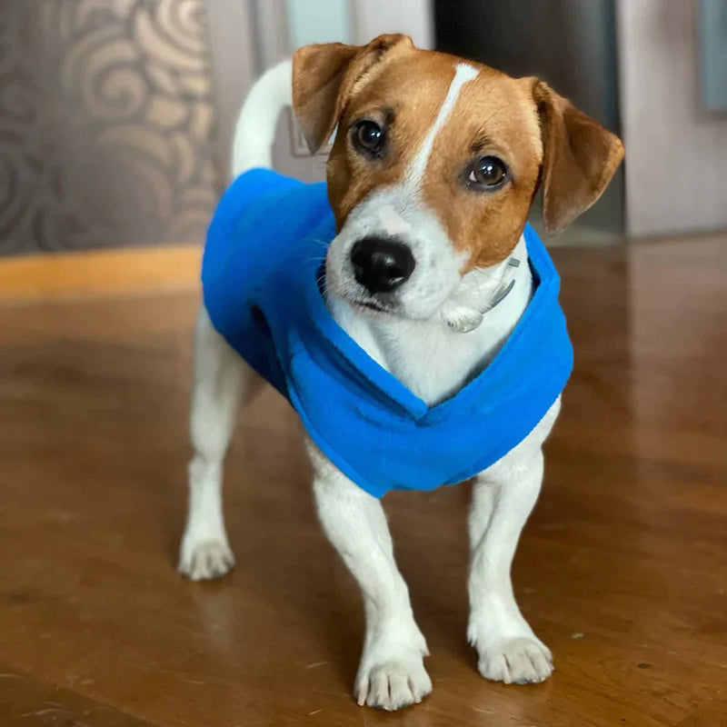 Roupinha para cães - Armazém Natum Iche