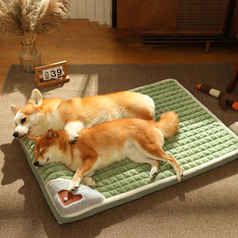 Cama comfort para pet - Armazém Natum Iche