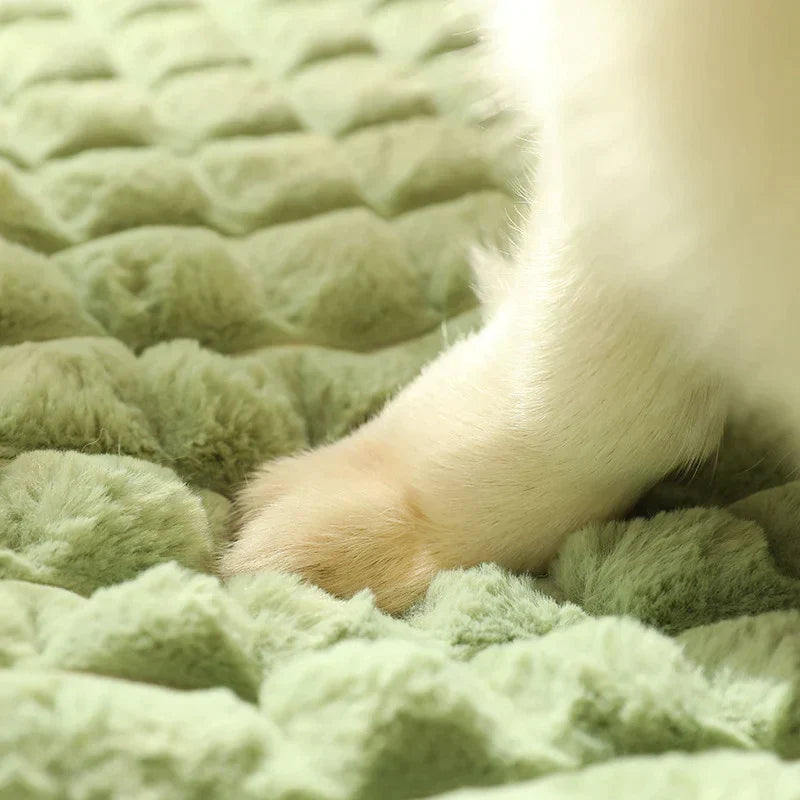 Cama comfort para pet - Armazém Natum Iche