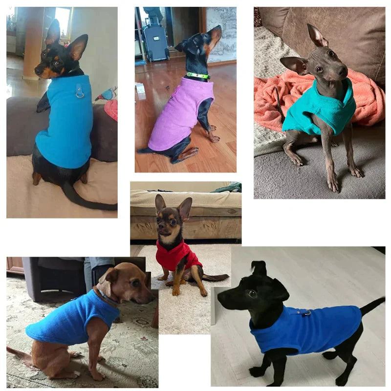 Roupinha para cães - Armazém Natum Iche